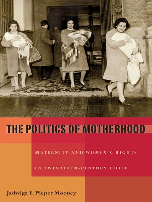 cover image of The Politics of Motherhood